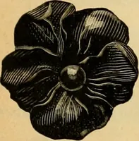 An illustration from 13th annual illustrated catalog, 1889 ... containing illustrations and prices of a few leading and staple styles of diamonds, watches, jewelry, silverware, clocks, canes, umbrellas, opera glasses, gold spectacles, eye glasses, etc. (1889)