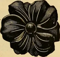 An illustration from 13th annual illustrated catalog, 1889 ... containing illustrations and prices of a few leading and staple styles of diamonds, watches, jewelry, silverware, clocks, canes, umbrellas, opera glasses, gold spectacles, eye glasses, etc. (1889)