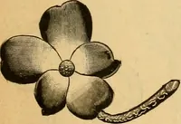 An illustration from 13th annual illustrated catalog, 1889 ... containing illustrations and prices of a few leading and staple styles of diamonds, watches, jewelry, silverware, clocks, canes, umbrellas, opera glasses, gold spectacles, eye glasses, etc. (1889)