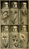 Picture 91 of 1332 from 13th annual illustrated catalog, 1889 ... containing illustrations and prices of a few leading and staple styles of diamonds, watches, jewelry, silverware, clocks, canes, umbrellas, opera glasses, gold spectacles, eye glasses, etc. (1889), leaf 59