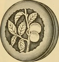Picture 215 of 1332 from 13th annual illustrated catalog, 1889 ... containing illustrations and prices of a few leading and staple styles of diamonds, watches, jewelry, silverware, clocks, canes, umbrellas, opera glasses, gold spectacles, eye glasses, etc. (1889), leaf 92