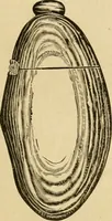 Picture 239 of 1332 from 13th annual illustrated catalog, 1889 ... containing illustrations and prices of a few leading and staple styles of diamonds, watches, jewelry, silverware, clocks, canes, umbrellas, opera glasses, gold spectacles, eye glasses, etc. (1889), leaf 98