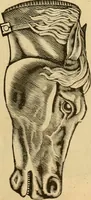 An illustration from 13th annual illustrated catalog, 1889 ... containing illustrations and prices of a few leading and staple styles of diamonds, watches, jewelry, silverware, clocks, canes, umbrellas, opera glasses, gold spectacles, eye glasses, etc. (1889)