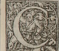 Picture 3 of 4 from De morborum internorum curatione libri quatuor : Adjectis ab Joanne Raenerio medico in singulis capitum initiis morborum causis, & signis, ex Galeno, Paulo Aegineta, atque Aetio desumptis (1550), leaf 215