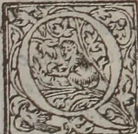 An illustration from De morborum internorum curatione libri quatuor : Adjectis ab Joanne Raenerio medico in singulis capitum initiis morborum causis, & signis, ex Galeno, Paulo Aegineta, atque Aetio desumptis (1550)