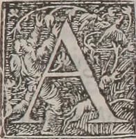 An illustration from De morborum internorum curatione libri quatuor : Adjectis ab Joanne Raenerio medico in singulis capitum initiis morborum causis, & signis, ex Galeno, Paulo Aegineta, atque Aetio desumptis (1550)
