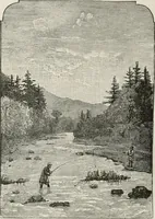 An illustration from The great Northwest : a guide-book and itinerary for the use of tourists and travellers over the lines of the Northern Pacific Railroad, the Oregon Railway and Navigation Company and the Oregon and California Railroad : containing descriptions of states, territories, cities, towns, and places along the routes of these allied systems of transportation, and embracing facts relating to the history, resources, population, products, and natural features of the great Northwest (1883)