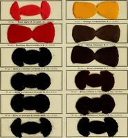 Picture 18 of 99 from Revue générale des matières colorantes et de leurs applications aux textiles (1908), leaf 92