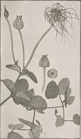 An illustration from Keramic studio (1899)