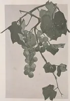 An illustration from Keramic studio (1899)