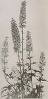 An illustration from Keramic studio (1899)