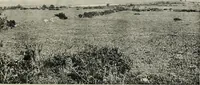 An illustration from Ireland; industrial and agricultural (1902)