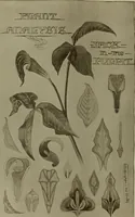 An illustration from Keramic studio (1899)