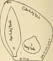 Picture 175 of 437 from Fancy work for pleasure and profit (1905), leaf 184