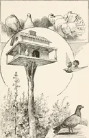 An illustration from In the child's world : morning talks and stories for kindergartens, primary schools and homes (1893)