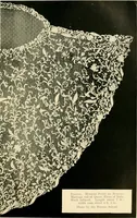 An illustration from History of lace (1902)