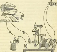 An illustration from Davis's manual of magnetism : including galvanism, magnetism, electro-magnetism, electro-dynamics, magneto-electricity, and thermo-electricity (1854)