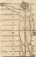 An illustration from Varia conmensuracion para le escultura y arquitectura (1675)