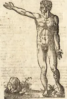 An illustration from Varia conmensuracion para le escultura y arquitectura (1675)
