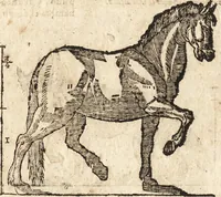 An illustration from Varia conmensuracion para le escultura y arquitectura (1675)