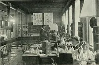 An illustration from Journal of applied microscopy and laboratory methods (1901)