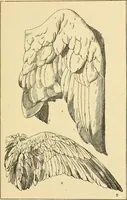 An illustration from Handbook of ornament; a grammar of art, industrial and architectural designing in all its branches, for practical as well as theoretical use (1900)