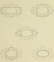 Picture 13 of 23 from The natural principles and analogy of the harmony of form (1842), leaf 82