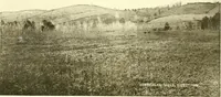 Picture 6 of 12 from The geology of New Hampshire : a report comprising the results of explorations ordered by the legislature (1874), leaf 331