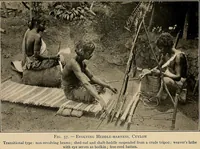 Picture 53 of 85 from Yarn and cloth making; an economic study; a college and normal schools text preliminary to fabric study, and a reference for teachers of industrial history and art in secondary and elementary schools (1918), leaf 208