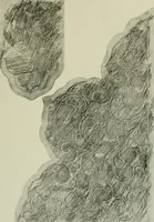 Picture 64 of 111 from Studies in the decorative art of Japan (1910), leaf 103