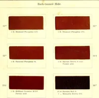 An illustration from The dyeing of leather with the dyestuffs of Cassella Color Company (1910)