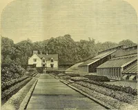 An illustration from The Gardeners' chronicle : a weekly illustrated journal of horticulture and allied subjects (1874)