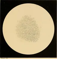An illustration from An atlas of clinical microscopy (1885)