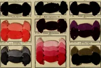 An illustration from Revue générale des matières colorantes et de leurs applications aux textiles (1908)