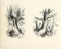 An illustration from The progressive drawing-book : containing a series of easy and comprehensive lessons for drawing landscape, architecture, the human figure, shipping, and animals, &c. without the aid of a master : also, a complete treatise on perspective, with nearly three hundred engravings (1853)