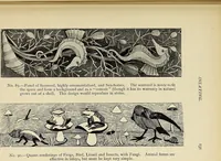 An illustration from Art crafts for amateurs (1901)