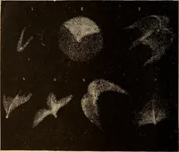 An illustration from Astronomy for the use of schools and academies (1882)