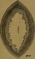 Picture 8 of 34 from Bible astronomy; or, The little book on the mysteries and wonder of the rise and fall of Babylon (1853), leaf 24