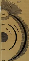 Picture 20 of 34 from Bible astronomy; or, The little book on the mysteries and wonder of the rise and fall of Babylon (1853), leaf 53