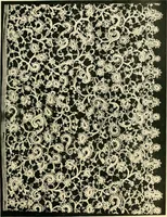 An illustration from History of lace (1902)