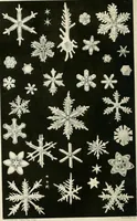 An illustration from Quarterly journal of microscopical science (1853)