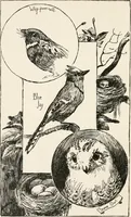 An illustration from In the child's world : morning talks and stories for kindergartens, primary schools and homes (1893)