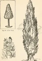 An illustration from Drawing for beginners (1920)