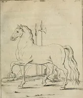 An illustration from Des vortreflichen Florentinischen Mahlers Lionardo da Vinci höchst-nützlicher Tractat von der Mahlerey : aus dem Italiänischen und Frantzöischen in das Teutsche übersetzet : auch nach dem Original mit vielen Kupfern und saubern Holtzschnitten versehen : und mit beygefügten Leben des Auctoris zum Druck befördert (1747)