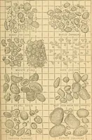 An illustration from Chemistry : general, medical, and pharmaceutical including the chemistry of the U.S. pharmacopoeia ; a manual on the general principles of the science, and their applications in medicine and pharmacy (1879)