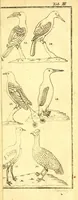An illustration from Versuch einer Anleitung zur Kenntniss und Geschichte der Thiere und Mineralien : für akademische Vorlesungen entworfen, und mit den nöthigsten Abbildungen versehen (1788)