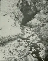 An illustration from Bulletin (1905)