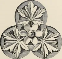 An illustration from Art-studies from nature, as applied to design : for the use of architects, designers, and manufacturers (1872)