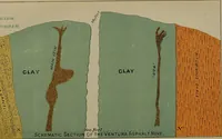 Picture 10 of 10 from Annual report of the State Mineralogist for the year ending ... (1883), leaf 827