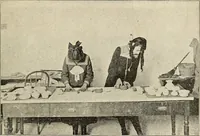 Picture 255 of 290 from Constructive work; (1905), leaf 236